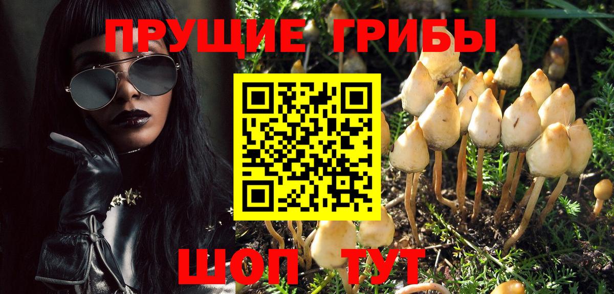 Псилоцибиновые грибы Magic Shrooms  Вход с VPN  Шали 