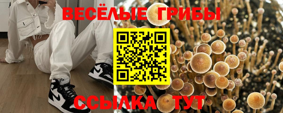Псилоцибиновые грибы Magic Shrooms Шали